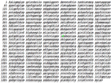 voltage gated sodium channel genetic code