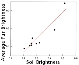 graph of soil brightness vs pelt color