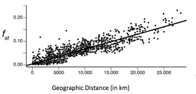 graph showing Fst vs distance across human populations