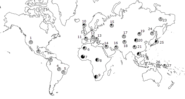 map showing global distributions of different alleles that are part of the melanin production pathway