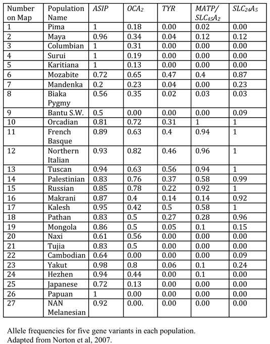 table showing allele frequencies of melanin production alleles in different populations