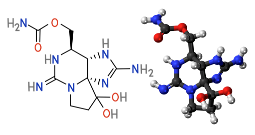 the saxitoxin molecule